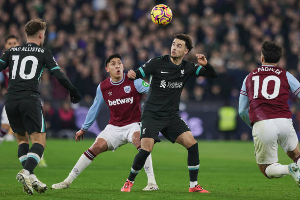 情感归属的 情感归属的