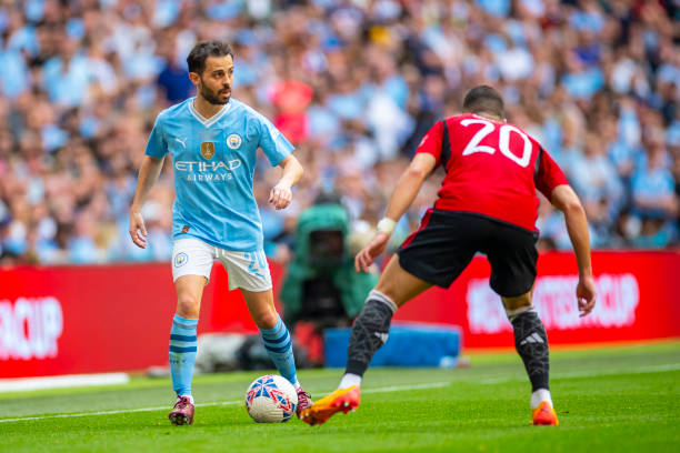 不少专家认 不少专家认